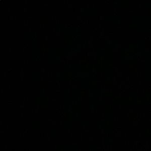 Meet your Posher, Ciara